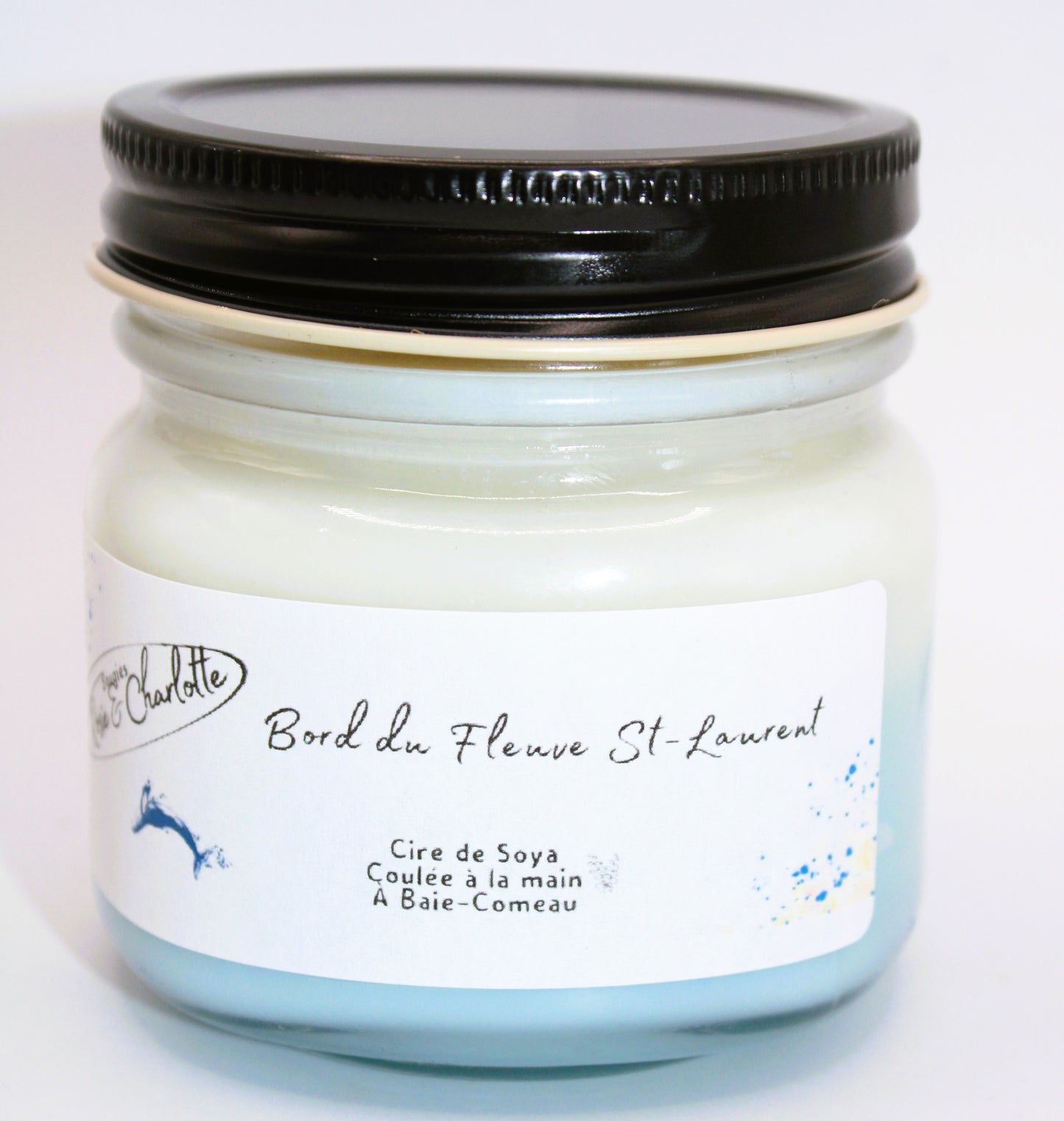 Bord du Fleuve Saint Laurent